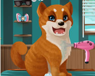 fodrszos - Become a puppy groomer